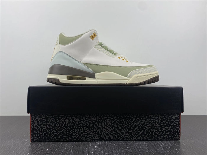 Air Jordan 3 DX6660- TravelReady 3816