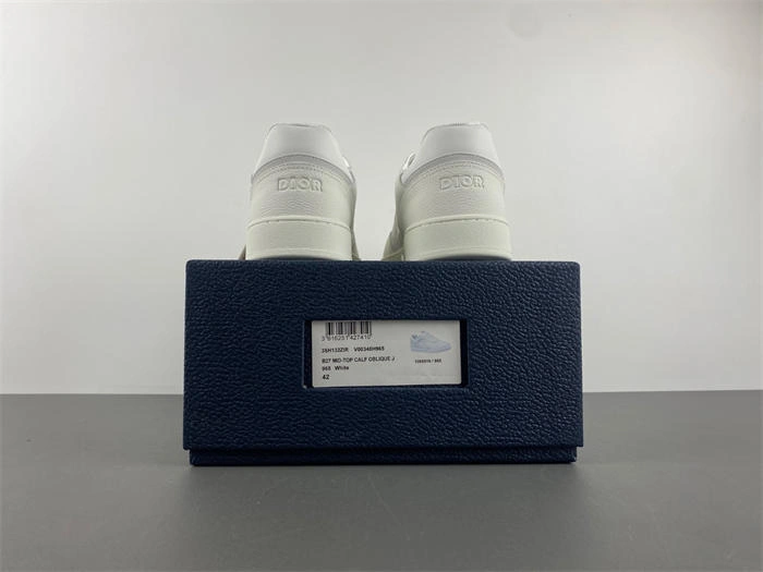 SmartChoice DIOR X2 1076