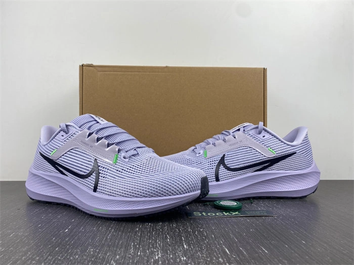Nike Pegasus 40 DV3853- Seasonal 5311